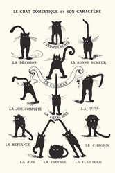 LE CHAT DOMESTIQUE POSTER MAXI 672