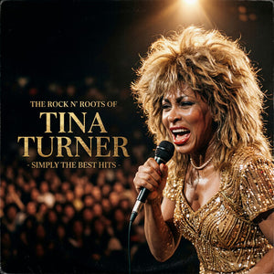 TINA TURNER | ROCK N ROOTS OF