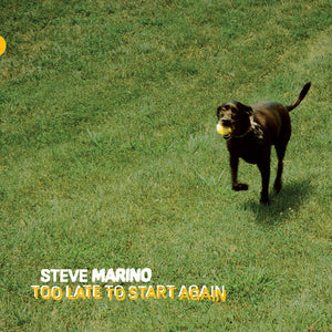 STEVE MARINO | TOO LATE TO START AGAIN