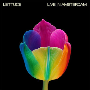LETTUCE | LIVE IN AMSTERDAM - PINK