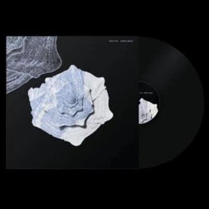 FABIO ANILE | MINUTIAE