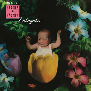 BARNES & BARNES | ZABAGABEE: THE BEST OF BARNES & BARNES