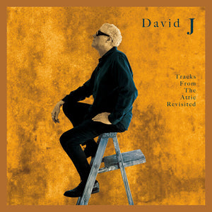 DAVID J | TRACKS FROM THE ATTIC REVISITED