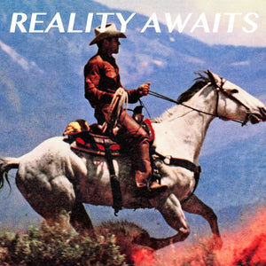 STROKES | REALITY AWAITS (BLACK ICE GLITTER TRI - FOLD DIE CUT SLEEVE) (VINYL)