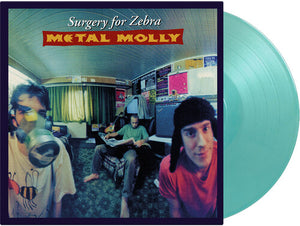 METAL MOLLY | SURGERY FOR ZEBRA