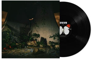 PLOT IN YOU | PLOT IN YOU (VINYL)