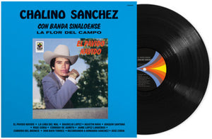 CHALINO SANCHEZ | EL PAVIDO NAVIDO