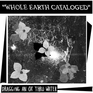DRAGGING AN OX THROUGH WATER | WHOLE EARTH CATALOGUED