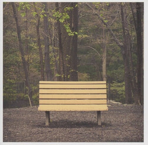 STREETLIGHT MANIFESTO | HANDS THAT THIEVE
