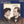 A. MAHLER | LIEDER