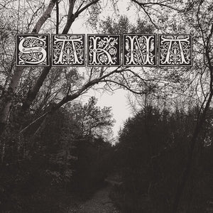 SAKNA | DE SYV DODSSYNDER