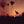 BARREN CANYON | VIRULENT STREAM
