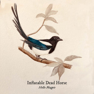 INFLATABLE DEAD HORSE | HELLO MAGPIE
