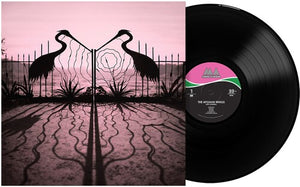AFGHAN WHIGS | SOFT CONTROL (VINYL)