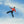 ALEX WARREN | WILDCHILD (PLAYGROUND RED EDITION) (VINYL)