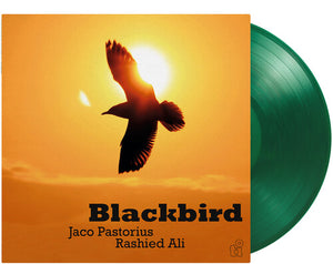 JACO PASTORIUS | BLACKBIRD