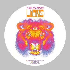 THE BLACK CROWES | LIONS
