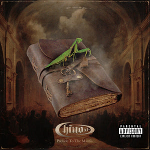 CHINO XL | PRELUDE TO THE MANTIS