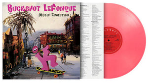 BUCKSHOT LEFONQUE | MUSIC EVOLUTION