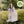 PIETA BROWN | DREAMIN' OF (SOFTPACK)