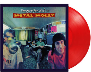 METAL MOLLY | SURGERY FOR ZEBRA