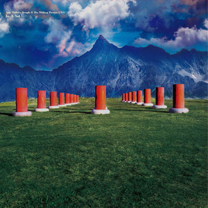 ACID MOTHERS TEMPLE & THE MELTING PARAISO U.F.O. | IN A NOT C