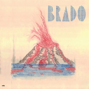 ANIMAL INVISIVEL | BRADO