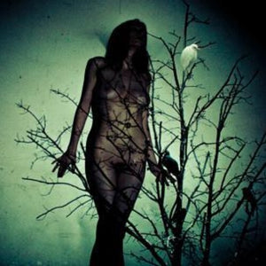 ATLAS MOTH | AN ACHE FOR THE DISTANCE - MARTIAN
