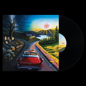 HAYWIRE 617 | I DON’T WANNA SAY GOODBYE (VINYL)