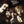 CREEDENCE CLEARWATER REVIVAL | PENDULUM - US
