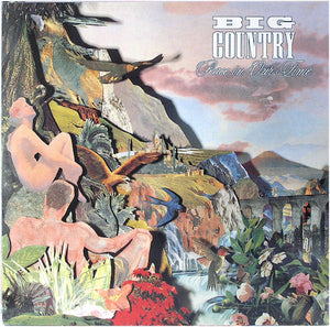 BIG COUNTRY | PEACE IN OUR TIME - USA