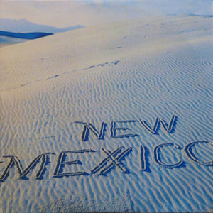 NEW MEXICO | NEW MEXICO - BIT NOISY SIDE 2