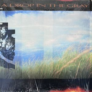 DROP IN THE GRAY | CERTAIN SCULPTURES