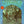 CREEDENCE CLEARWATER REVIVAL | CREEDENCE CLEARWATER REVIVAL - US