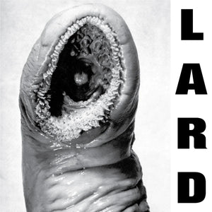 LARD | POWER OF LARD EP (WHITE EDITION) (VINYL)