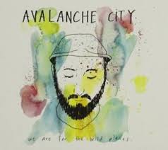 AVALANCHE CITY | WE ARE FOR THE WILD PLACES (DIGI)