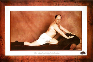 GEORGE COSTANZA COUCH SEINFELD POSTER 337