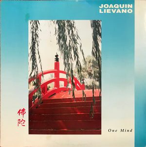 JOAQUIN LIEVANO | ONE MIND