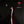 STEELY DAN | AJA - US - BIT ROUGH