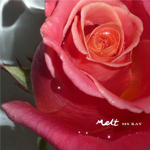 MS RAY | MELT EP (VINYL)