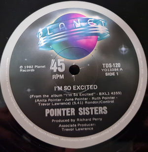 POINTER SISTERS | IM SO EXCITED 12 - AU - GENERIC RECORD COMPANY SLEEVE