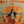 NILS LOFGREN | NILS LOFGREN - US
