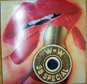 38 SPECIAL | ROCKIN INTO THE NIGHT