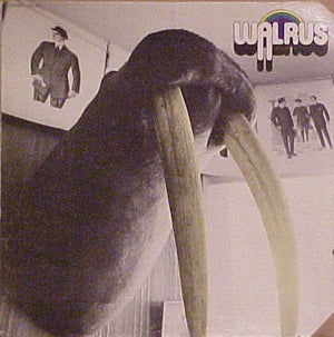 WALRUS | WALRUS