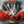 MAGMA | MERCI