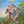SAVOY BROWN | SKIN N BONE