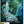 PETES DRAGON (BLURAY)