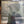 NEIL YOUNG | AFTER THE GOLD RUSH - 2009 - 180 GRAM EU