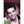 MOVIE MUL | ELVIS PRESLEY CLASSICS - VIVA LAS VEGAS/SPEEDWAY (2DVD)
