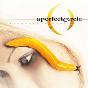 A PERFECT CIRCLE | THIRTEENTH STEP